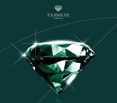 Imagem ilustrativa Tourmaline